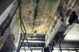 Best Mold Prevention Services  in Navy Yard City, WA